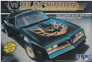 1978 Pontiac Firebird Trans Am 'Blackbird' (1/25) (fs)