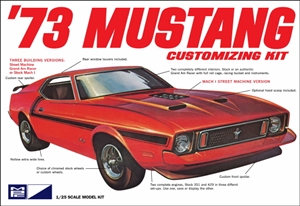 1973 Ford Mustang (1/25) (fs)