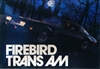 1977 Pontiac Firebird Trans Am Promo Kit (Molded in Cameo White) (1/25) (fs)