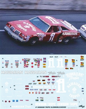 Donnie Allison Hawaiian Tropic 1979-1980 #1 (Works on Salvino Gray Ghost Olds) (1/25)